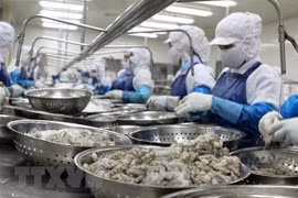 Agro-forestry-fisheries exports up over 24 percent in Jan-Apr