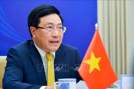 Informal ASEAN Ministerial Meeting: Vietnam, ASEAN cooperate to drive back pandemic