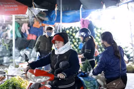 Hanoi: Fines of 1-3 million VND imposed for not wearing facemasks in public places