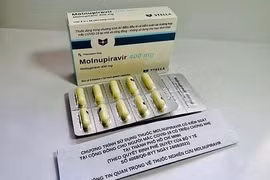 Laos approves pilot production of molnupiravir pills for COVID-19 treatment 