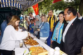 Vietnamese expats in Czech Republic join Colourful Planet Festival