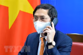 Vietnamese, German foreign ministers hold phone talks