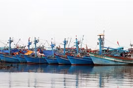 Kien Giang making every effort to fight IUU fishing