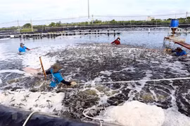 Aquaculture output grows 4.17 percent to 4.75 million tonnes