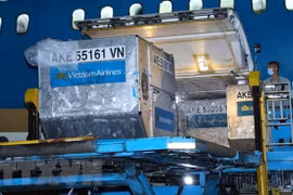300 Japan-UNICEF supported vaccine refrigerators arrive in Vietnam