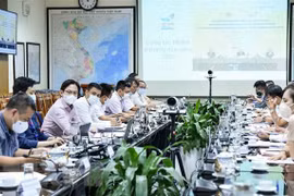 Vietnam’s UNSC membership in first half of 2021 reviewed 