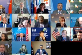 Vietnam backs comprehensive political solution to Libyan issue: Diplomat