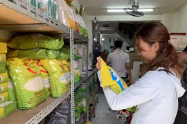 Support to be provided to SMEs in intellectual property