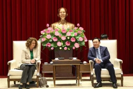 Hanoi needs more assistance for infrastructure development: city leader
