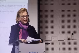 Mine action in Vietnam making progress: UNDP country chief