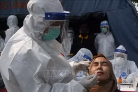 Indonesia sharply cuts COVID-19 RT-PCR test prices