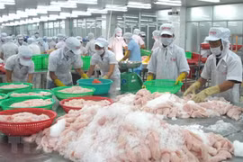 Tien Giang sees rosy signs in export