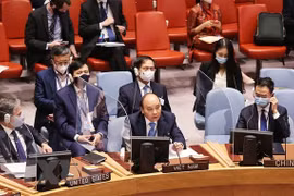 Vietnam makes valuable contributions in UNSC: UK Permanent Representative to UN