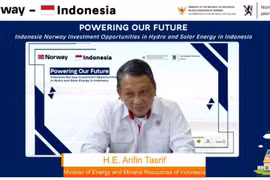 Indonesia outlines strategies for meeting carbon neutral target by 2060