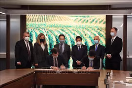 Vietnam, US step up cooperation in agriculture