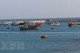 German expert emphasises legal basis of PCA’s ruling on East Sea disputes 