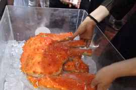 Demand for imported high-value seafood rises