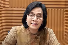Indonesia needs 247 billion USD to achieve climate change goals