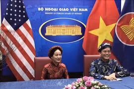 Vietnamese expats in US celebrate Tet in virtual gathering