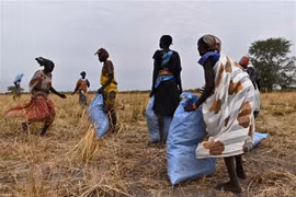 UNSC: Vietnamese diplomat visits South Sudan as Chair of Committee 2206 
