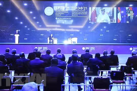 Vietnam attends 24th St. Petersburg International Economic Forum 