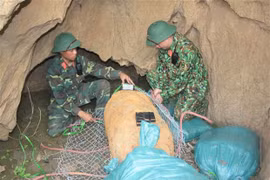 Son La's sappers safely dispose 500-kg bomb left from war
