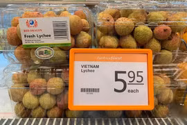 Vietnamese lychees increase presence in Singapore