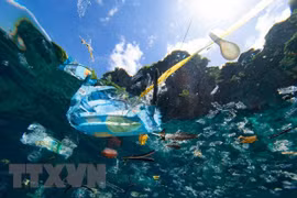 ASEAN, RoK agree to strengthen cooperation on environment, combating climate change