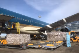 Temasek Foundation-donated medical equipment arrive in Vietnam 