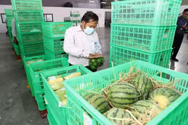 Fruit and vegetable purchasing, distribution centre opens in Tien Giang
