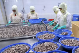 Kien Giang’s exports up nearly 16 percent