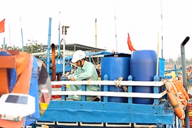 Tra Vinh: Over 210 fishing vessels equipped with monitoring devices