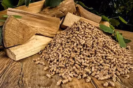 Vietnam now world’s second largest fuel pellet exporter