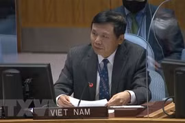 Int’l Court of Justice important to settling int’l disputes: ambassador