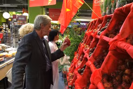 Ample room for growth in Vietnamese exports to France