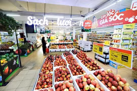 Vietnam’s 2020 retail sales see lowest growth in nine years