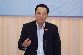 Vietnam attends IPU's virtual meeting on sustainable development