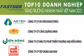 List of Vietnam’s 500 fastest-growing firms unveiled
