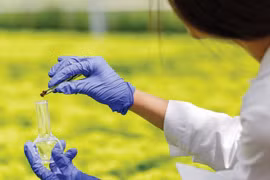 Thailand adopts strategic plan on bio, circular and green economy