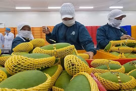 Fruit, vegetables exports to hit 4 billion USD