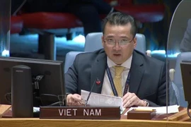 Vietnam calls for political progress towards elections in Libya