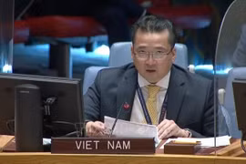 Vietnam calls for political progress towards elections in Libya