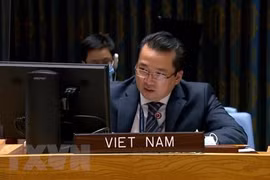 Vietnam supports ending of presence of foreign fighters, mercenaries in Libya
