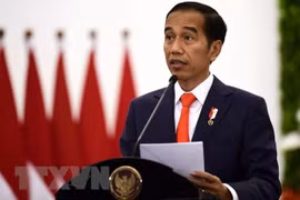 Indonesia looks to export LRT trains