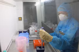Vietnam’s COVID-19 death toll reaches 44 