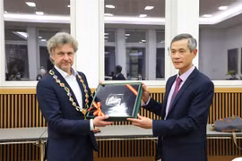 Vietnam introduces investment potential to German firms 