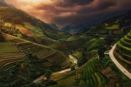 Picture of Vietnamese rice terraces enters prestigious photography contest