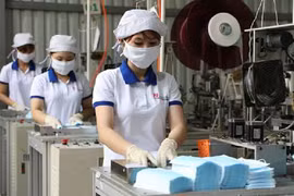 Vinh Long works to support business in local IPs amid COVID-19