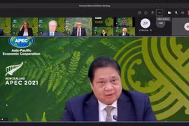 COVID-19 provides momentum for Indonesia’ structural reform: Minister