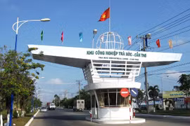 Can Tho to focus on development of large-scale IPs